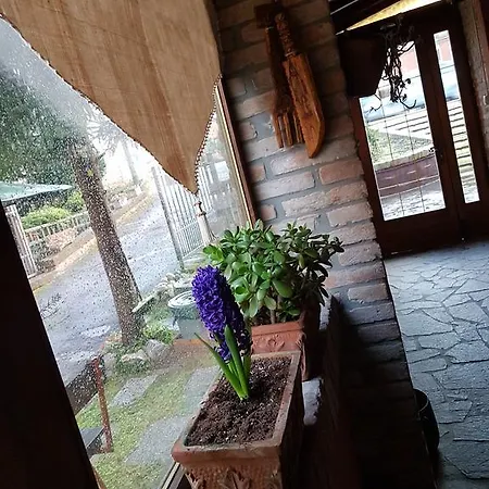Le Stanze Sul Po Alojamento de Acomodação e Pequeno-almoço Ferrara